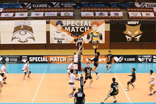 『ハイキュー！！』とコラボマッチも実現！Vリーグ男子注目チームまとめ