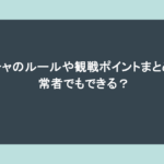 ボッチャのルールや観戦ポイントまとめ!健常者でもできる?