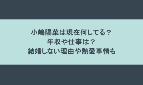 小嶋陽菜は現在何してる？年収や仕事は？結婚しない理由や熱愛事情も