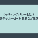 シッティングバレーとは？注目選手やルール・対象者など徹底解説