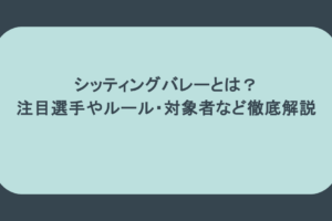 シッティングバレーとは?注目選手やルール・対象者など徹底解説