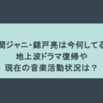 元関ジャニ・錦戸亮は今何してる？地上波ドラマ復帰や現在の音楽活動状況は？